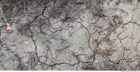 Soil Cracked 0001